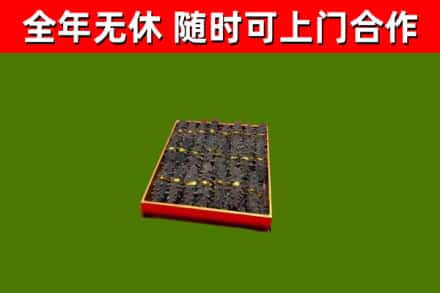 普安县回收海参